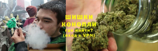 прущие грибы Богданович