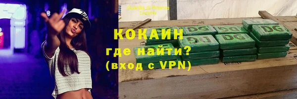 PSILOCYBIN Шали