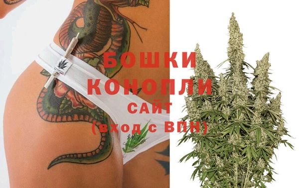 ГАЛЛЮЦИНОГЕННЫЕ ГРИБЫ Белокуриха