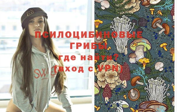 стафф Белоозёрский