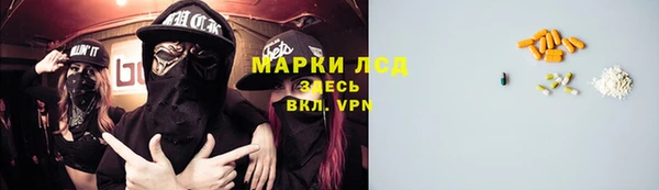 гашик Беломорск