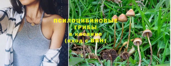 гашик Беломорск