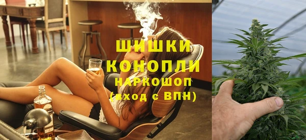 ГАЛЛЮЦИНОГЕННЫЕ ГРИБЫ Белокуриха