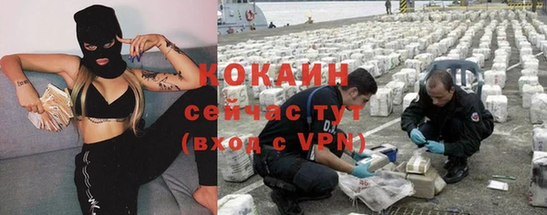 гашик Богородицк