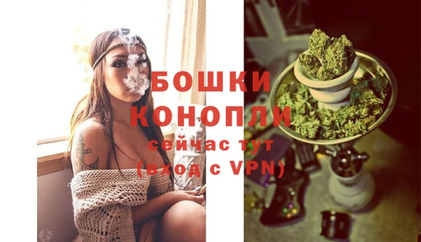 гашик Беломорск