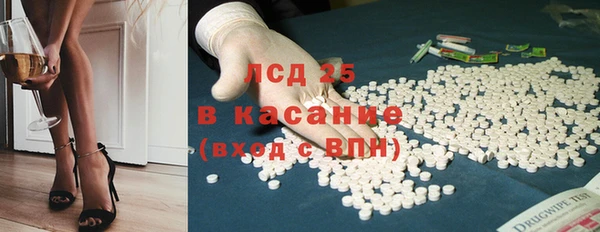 прущие грибы Богданович